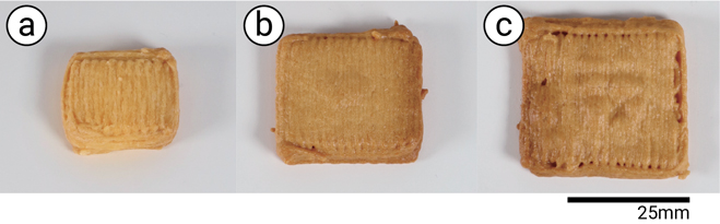 foodfab-cookie-with-different-infill-density